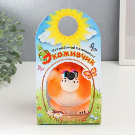 Growing gift Eco -Lisa "Fox Novyka" MIX-4