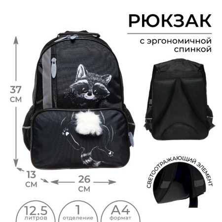 School backpack, 37 x 26 x 13 cm, ergonomic back, calligrata ORT "Rucot"