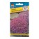 Seeds of thyme creeping RS-1, 0.05 g