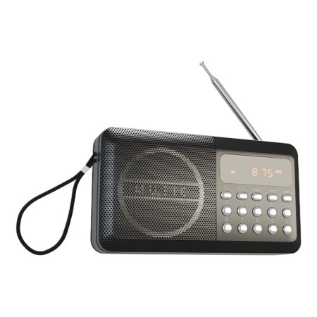 Radio receiver Soudmax SM-RD2127 (dark titanium)