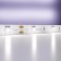 Maytoni Led Strip 10162, 24V, 5 m, IP20, 5050, 7.2 W/m, 10x2, 6000K, monochrome