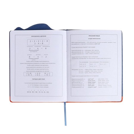School diary for grades 1-11, "Shibaine in a shark costume", a solid cover with foam rubber, artificial leather, figured cutting, liesse, 48 sheets, block 80g/m2-10