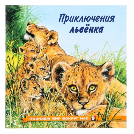 We know the world around us "The Adventures of the Lioness"