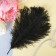 Feather for decor, size 20.5 × 7.5 cm, black color