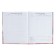 Diary for grades 5-11 "kittens in the clouds", hard cover, holography, 48 sheets