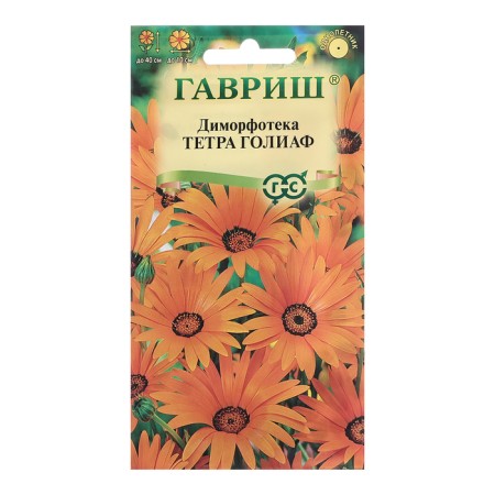 Dimorphothek seeds "Tetra Goliath", 0.1 g