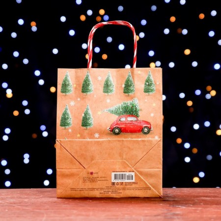 Gift Package "Christmas tree Forest" 18 x 22.3 x 10 cm-1