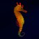 Decor for the Aquarium "Sea Horse" Silicone, with a neon effect, 2 x 4 x 10 cm, orange 10069