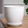 Pot floral white, 2.5 liters