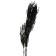 Dry flowers of amaranth, 100 g, sheet size: from 50 to 60 cm, black color