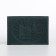 Cover for passport, green color