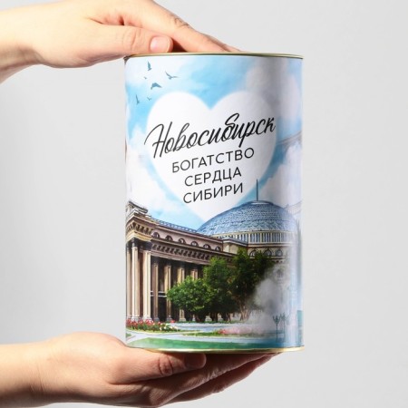 Копилка XXL «Новосибирск», 20 х 12,5 см-4