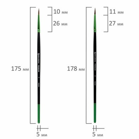 Набор кистей Пони 5 штук, BRAUBERG PREMIUM, круглые № 1, 2, 3, 4, 5-3