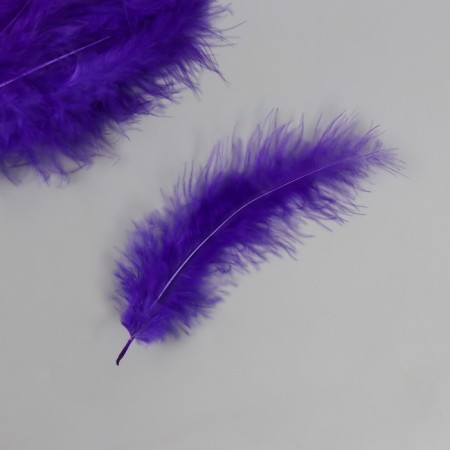 Pen decorative goose down "purple" set 40 pcs h = 10-15 cm-2