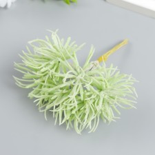 Decor for creativity 