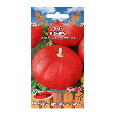 Seeds of Pumpkin "Granddaughter", 7 pcs.