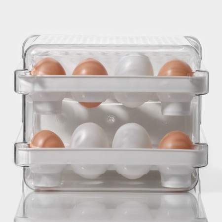 Container for storage of ovice shares, 40 cells, 27 × 22 × 16 cm, white color-6