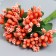 Flowers for decorating "inflorescence" peach 1 bouquet = 12 colors 8.5 cm