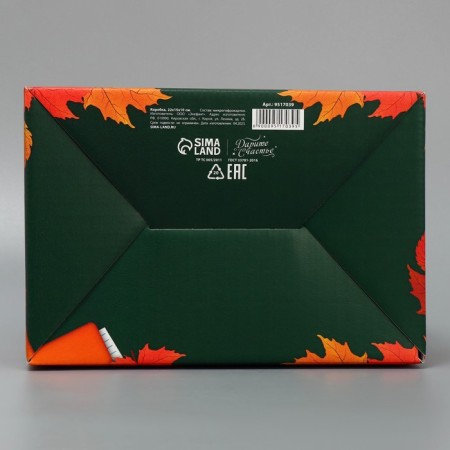 Box Gift team, packaging, “class teacher”, 22 x 15 x 10 cm-4