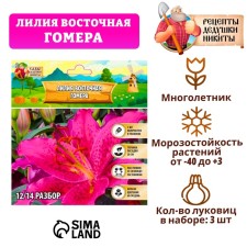 Лилия Восточная "Gomera", р-р 14/16, 3 шт,