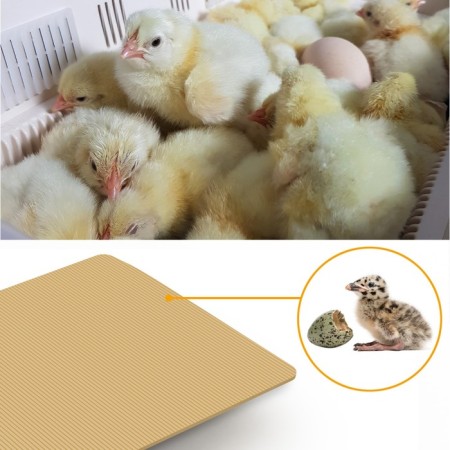 Incubator, 20 eggs, automatic coup, 65 V, with ovoscope, rcom-3