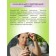 A complex of aromatic oils for the body with aphrodisiacs for it "playful verbena", 10 ml