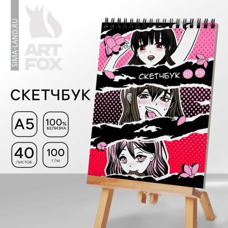 Sketchbook A5, 40 sheets, 100 g “Anime. Girls "