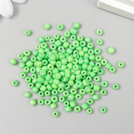 Round beads 6/0 "Green Neon" 20 g-1