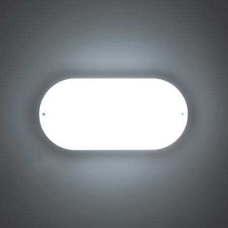 Oval lamp LED 20W IP65 white 6.8x13.5x27 cm-2