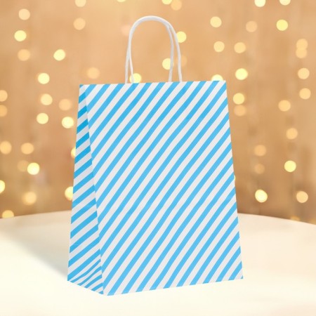 Crafts package, Blue Lines, 27 x 21 x 11 cm