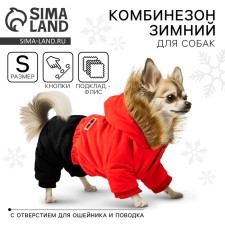 Clothing for dogs. Combineson winter 