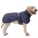 Popon for large dogs, membrane fabric, size 2xl (DS 43, Osh 46, OG 62-68 cm), blue