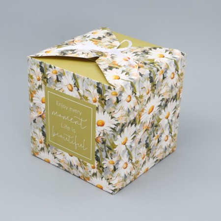 Gift folding box, packaging, "chamomile", 18 x 18 x 18 cm-2