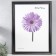 Photo frame Liza 50x70 cm black (plastic screen)
