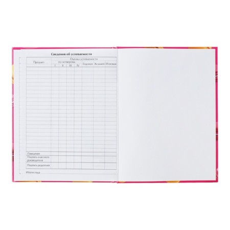 Universal diary for grades 1-11, Makaruns, solid cover 7BC, glossy lamination, 40 sheets-9