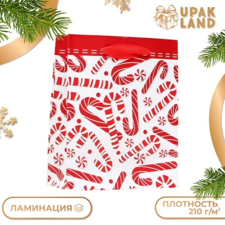 Laminated "New Year's lollipation" package 11.5 x 14.5 x 6 cm-2