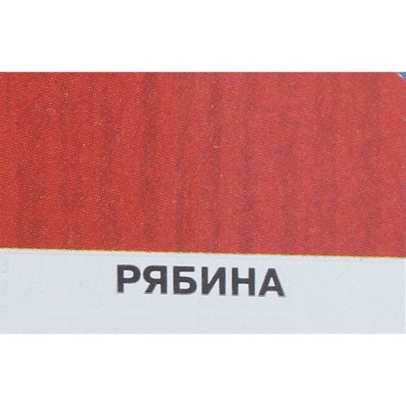 Protective texture coating of wood, mountain ash, 9 l-1