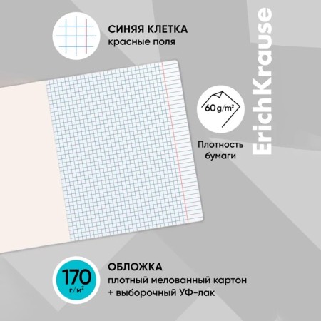 Notebook of 12 sheets in the Erichkrause "Russian Cosmos", cover coated cardboard, mix-2