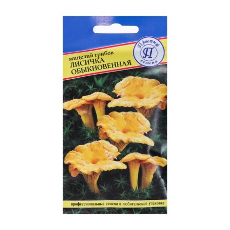 Mushroom mushroom mushrooms are common, 50 ml