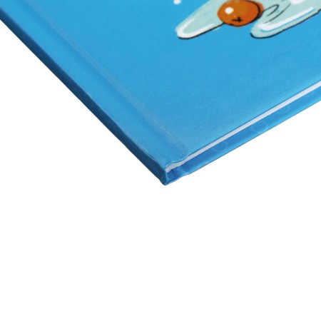 Diary for grades 5-11, 48 sheets of Kapibar Kapibarov, hard cover, glossy lamination, block 60 g/m2-2