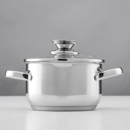 Magistro klimena stainless steel pan, 1.7 l, lid-durglog, plum nose, capsule, induction