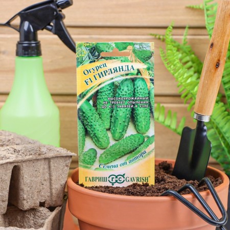 Cucumber seeds "garland", F1, 10 pcs.