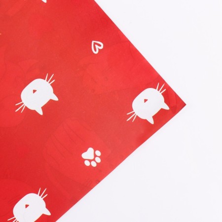Paper packing gloss double -sided "cats", 70 x 100 cm-3