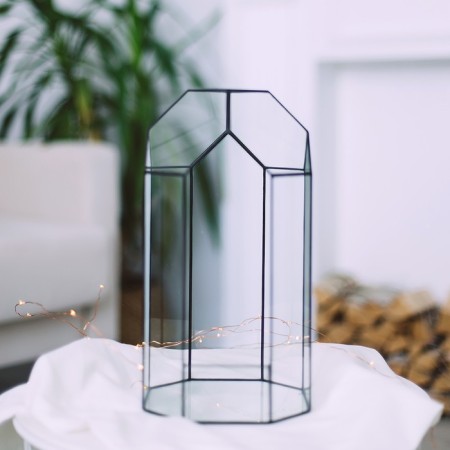 Florarium "greenhouse" (silver seams)