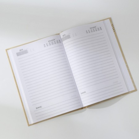 Diary in the solid cover A5, 80 liters "Letter"-1