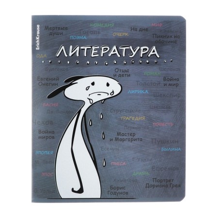 Subject notebook, 48 sheets, ruler, literature Erichkrause "Chubrik", plastic cover silk-screen cover, Blok Offset 100%, information block