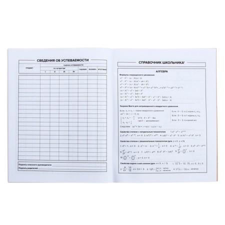 Universal diary for grades 1-11, 48 sheets "Crazy Panda", soft cover, selective UV-fluid, matte lamination-8