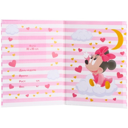 Folder for birth certificate, 1 file 21x30 cm, Minnie Mouse-2