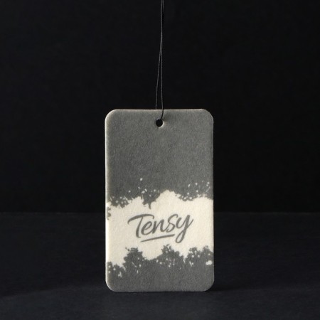 Suspended Tensy Cardboard flavor, new TA-12 car-2
