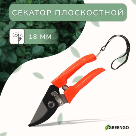 Plairrier Securitor, 7 "(18 cm), with plastic handles, Greengo